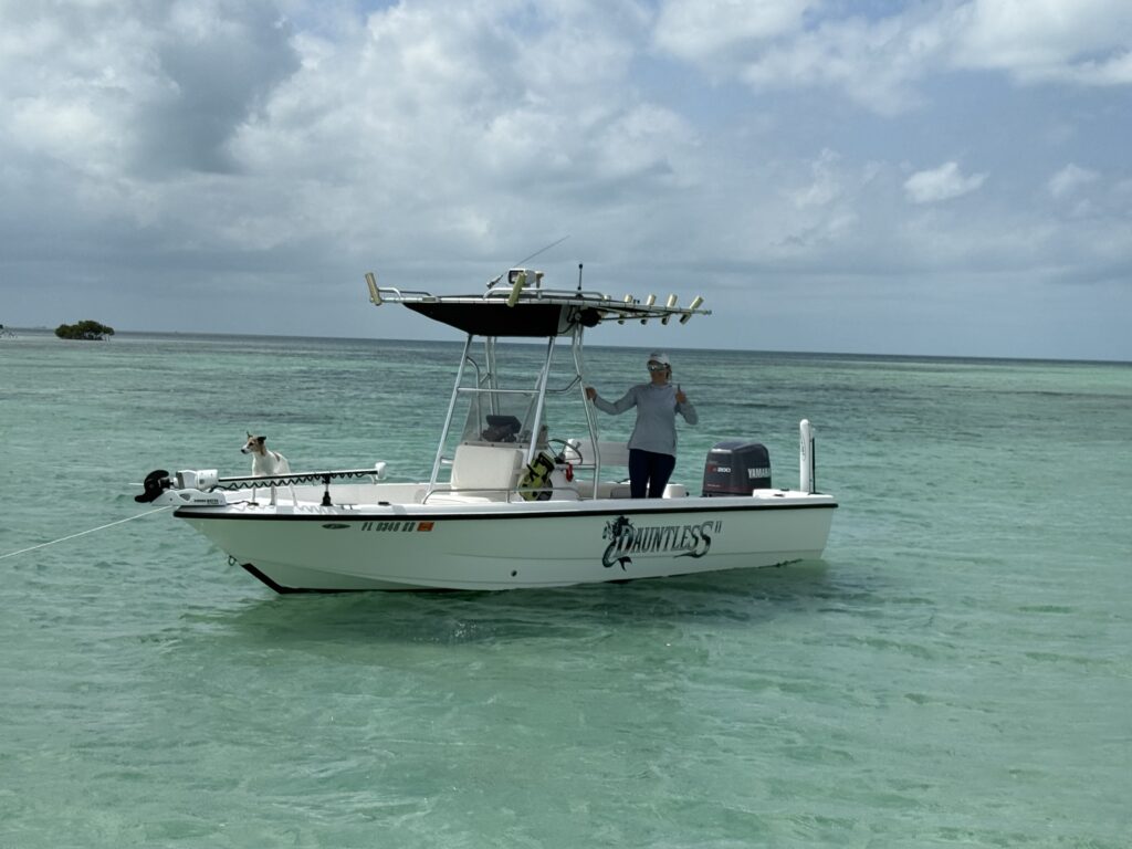 Dauntless II Bay Boat Dauntless II bay boat for sandbar trips, backcountry, exploring, charter boat, adventuring